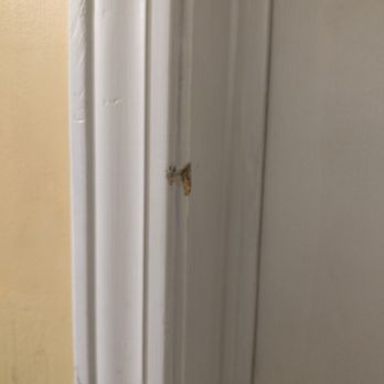 Floors Outlet - Another chunk taken out of the door trim. - Flooring Near Me - Statesboro, Georgia