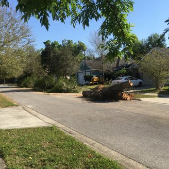 Camargo Tree Service - Debris left in the street on the next day that JP lied about and said it would be removed yesterday. - Tree Services Near Me - Gainesville, Florida Camargo Tree Service - Debris left in the street on the next day that JP lied about and said it would be removed yesterday. - Tree Services Near Me - Gainesville, Florida