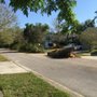 Photo of Camargo Tree Service