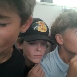 Three young moggers