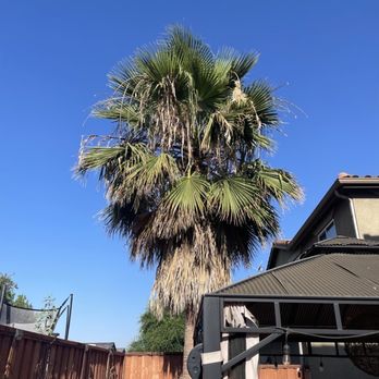 Maldonado Landscaping - Before - Landscaping Near Me
