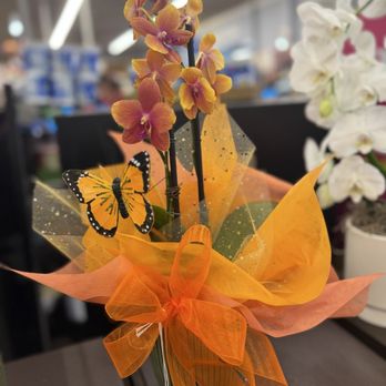 Vons - Lively orchid - Grocery Near Me - Northridge, California Vons - Lively orchid - Grocery Near Me - Northridge, California