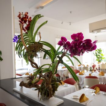 A Fish Called Avalon - Ambiance - Seafood Near Me - Miami Beach, Florida