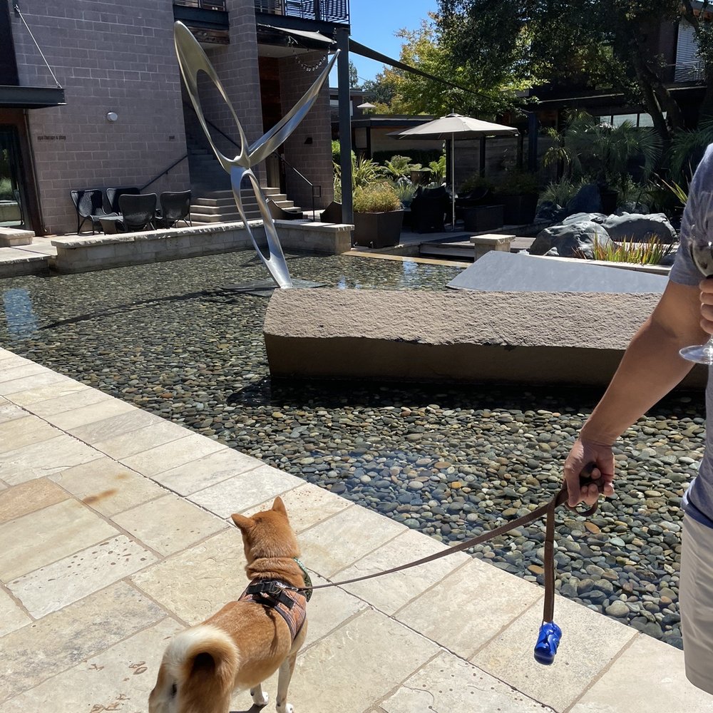 Bardessono Hotel and Spa - Enjoying the hotel - Hotels Near Me - Yountville, California