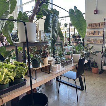 Bloomsgiving - Florists Near Me - Mountain View, California Bloomsgiving - Florists Near Me - Mountain View, California