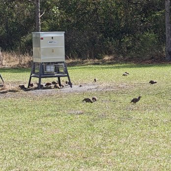 Quail Creek Sporting Ranch  - Gun/Rifle Ranges Near Me - Okeechobee, Florida
