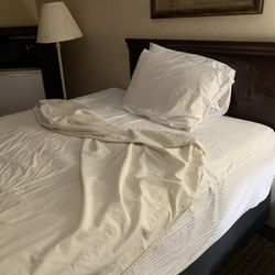 Americas Best Value Inn Tunica Resort - This was the condition of the room I paid for. I got the heck out super fast.