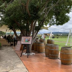 Viñedos la Redonda