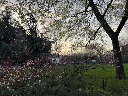 Herbert Von King Park by null