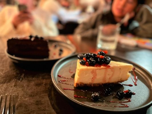 The Whalesbone Elgin Street by null