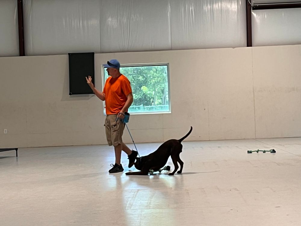 DOG GONE IT K9 Updated September 2024 11 Photos Prineville