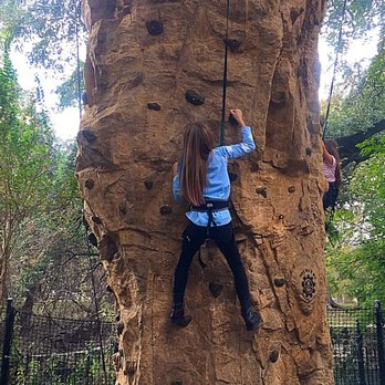 Witte Museum - Rock climbing - Museums Near Me - San Antonio, Texas