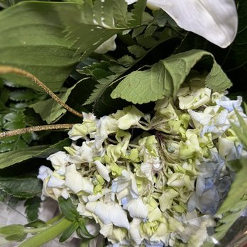 Green Bench Flowers - Florists Near Me - Saint Petersburg, Florida Green Bench Flowers - Florists Near Me - Saint Petersburg, Florida