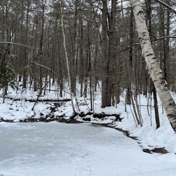 Thorncrag Bird Sanctuary - unnamed pond along the blue trail