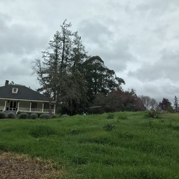 Theorem Vineyards - Wineries Near Me - Calistoga, California