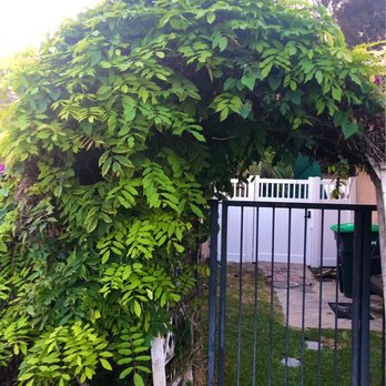 Casa Valenzuela Construction - New white vinyl fence/gate! - General Contractors Near Me - Corona, California