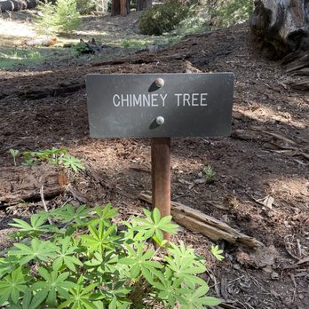 Crescent Meadow and Tharp's Log - Hiking Near Me - Sequoia National Park, California Crescent Meadow and Tharp's Log - Hiking Near Me - Sequoia National Park, California
