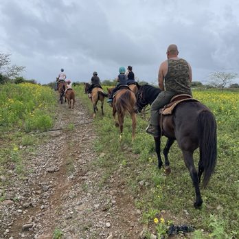 Mauiponies - Trail ride! - Horseback Riding Near Me