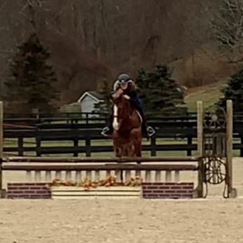 One Above Farm - Horseback Riding Near Me - Newtown, Connecticut One Above Farm - Horseback Riding Near Me - Newtown, Connecticut