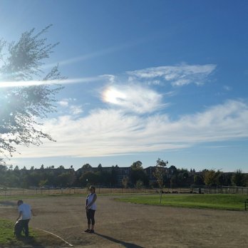 North Natomas Regional Park - Beautiful day - Dog Parks Near Me - Sacramento, California North Natomas Regional Park - Beautiful day - Dog Parks Near Me - Sacramento, California
