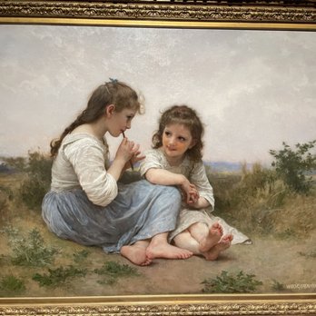 Denver Art Museum - Art Galleries Near Me - Denver, Colorado