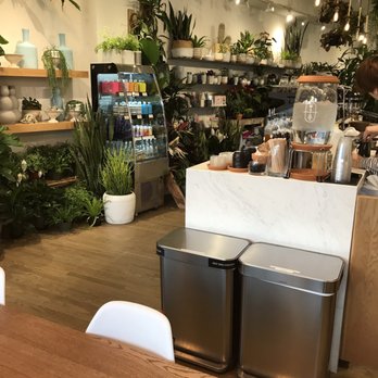 PlantShed - The coffee bar! - Florists Near Me - New York, New York PlantShed - The coffee bar! - Florists Near Me - New York, New York
