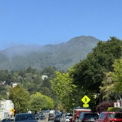 City of Mill Valley - Here it is