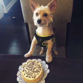 The Dog Bakery - the day of my puppies birthday and the day of I got the cake :-) - Pet Stores Near Me - Pasadena, California The Dog Bakery - the day of my puppies birthday and the day of I got the cake :-) - Pet Stores Near Me - Pasadena, California