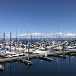 Fairwinds Marina at Schooner Cove
