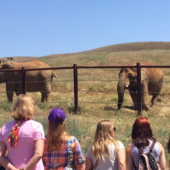 PAWS - Paws open house May 2015 - Animal Shelters Near Me - San Andreas, California