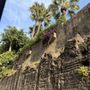 Photo of The Witch's Wall