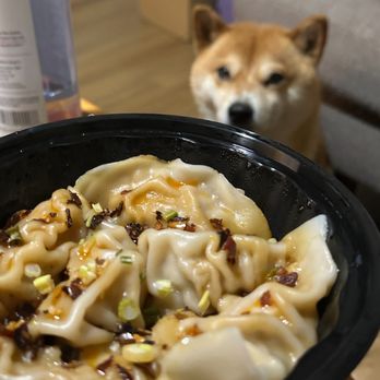 Oh Dumpling - Pork Dumplings in Chili Sauce are so good! - Asian Fusion Near Me - Greenwood Village, Colorado Oh Dumpling - Pork Dumplings in Chili Sauce are so good! - Asian Fusion Near Me - Greenwood Village, Colorado