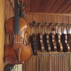 Cornell Strings