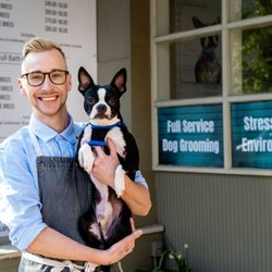 The AuStella Pet Parlor