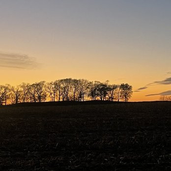Chateau Knoll - Sunset close to property - Apartments Near Me - Bettendorf, Iowa
