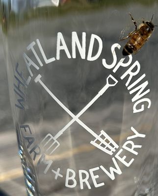 Wheatland Spring Farm + Brewery by null