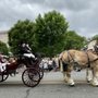 Photo of Memorial Day Parade