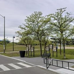 Chinguacousy Park - Tennis Courts