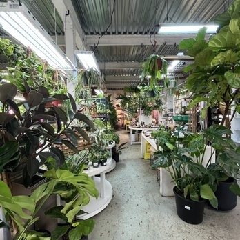 Found Things - Nurseries & Gardening Near Me - Syracuse, New York