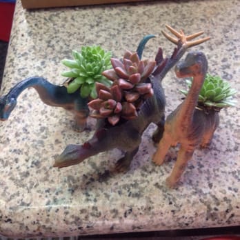 California Cactus Center - Toy Dinosaur planters - Nurseries & Gardening Near Me - Pasadena, California California Cactus Center - Toy Dinosaur planters - Nurseries & Gardening Near Me - Pasadena, California