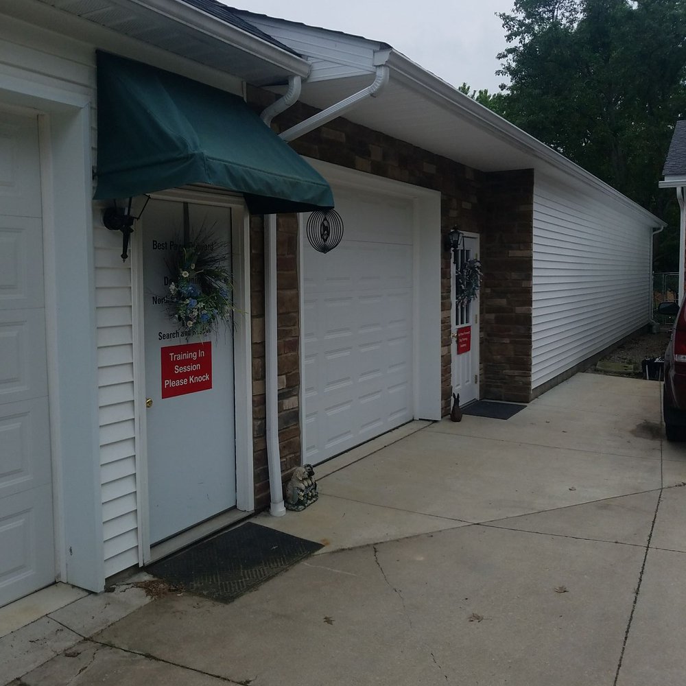 Best Paws Forward Dog Training Academy - Pet Training Near Me - Medina, Ohio