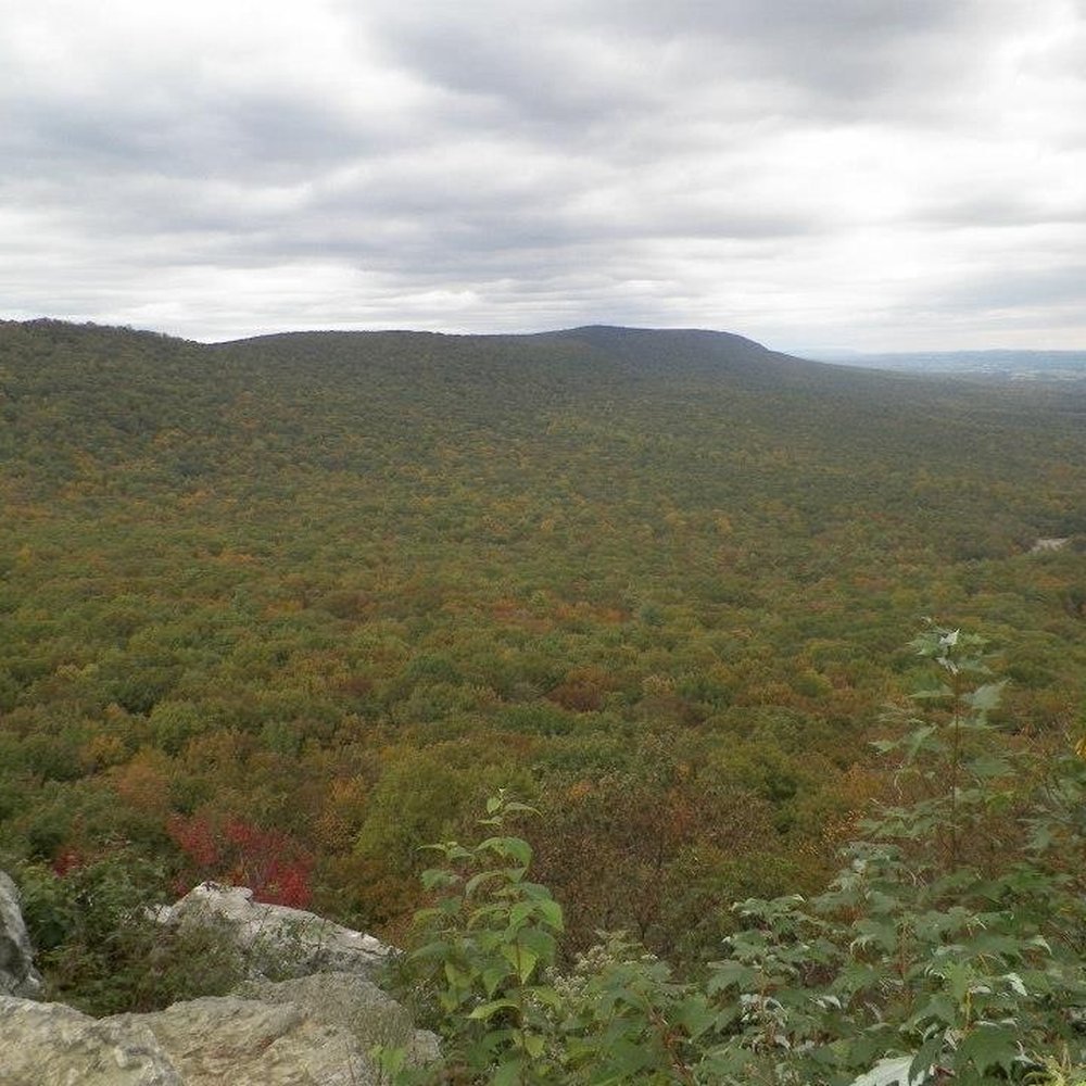 Hawk Mountain - Hiking Near Me - Kempton, Pennsylvania Hawk Mountain - Hiking Near Me - Kempton, Pennsylvania