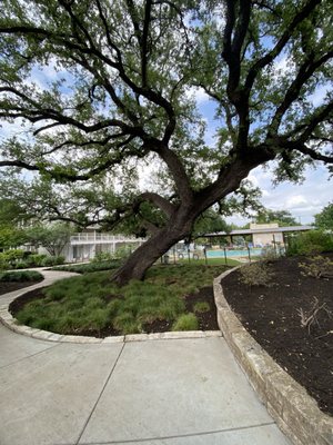 Stagecoach Inn by null