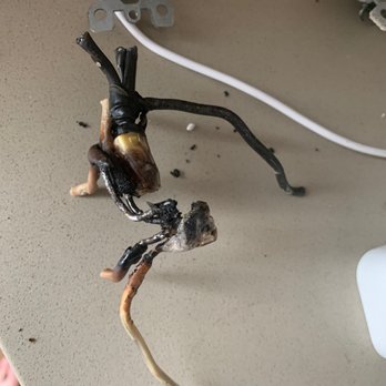 Carlsbad Electrical Services - Aluminum wiring electrical fire! - Electricians Near Me - Carlsbad, California Carlsbad Electrical Services - Aluminum wiring electrical fire! - Electricians Near Me - Carlsbad, California