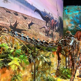 The Children's Museum - Children's Museums Near Me - Indianapolis, Indiana The Children's Museum - Children's Museums Near Me - Indianapolis, Indiana