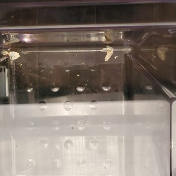 Candlewood Suites Houma - Crisper drawer needed to be cleaned - Venues & Event Spaces Near Me - Houma, Louisiana Candlewood Suites Houma - Crisper drawer needed to be cleaned - Venues & Event Spaces Near Me - Houma, Louisiana