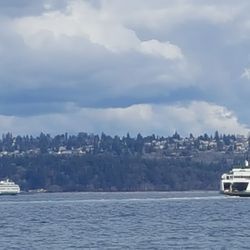 Southworth Ferry Terminal - Looking across the passage (3/8/20)