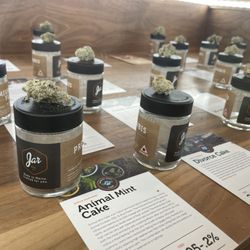 Jar Cannabis