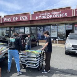 Garden World Hydroponics - Commonwealth canna