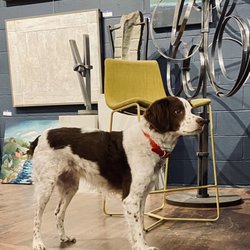 Harvest Gallery - Gallery greeter